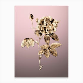 Gold Botanical French Rose on Rose Quartz n.4660 Canvas Print