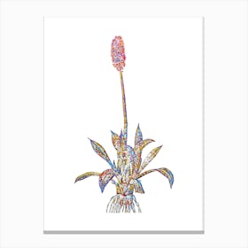 Stained Glass Swamp Pink Mosaic Botanical Illustration on White Canvas Print