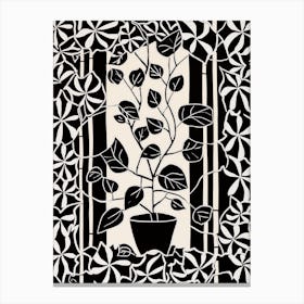 B&W Plant Illustration Hoya 5 Canvas Print