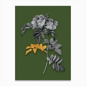 Vintage Shining Rosa Lucida Black and White Gold Leaf Floral Art on Olive Green n.0643 Canvas Print