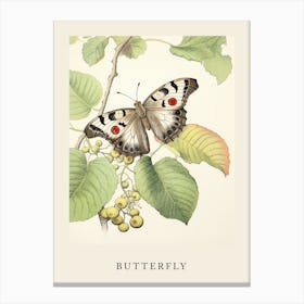 Beatrix Potter Inspired  Animal Watercolour Butterfly 1 Canvas Print