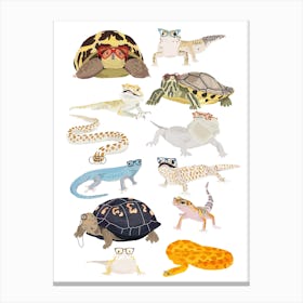 Reptiles In Glasses Canvas Print