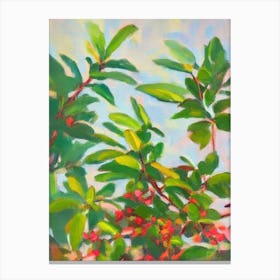 Schefflera 2 Impressionist Painting Plant Canvas Print