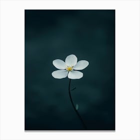 Single Flower 6 Canvas Print