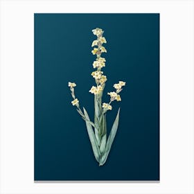 Vintage Pale Yellow Eyed Grass Botanical Art on Teal Blue n.0493 Canvas Print