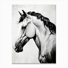 Black And White Horse Portrait Canvas Print