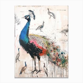 Peacock & Birds Messy Sketch Canvas Print