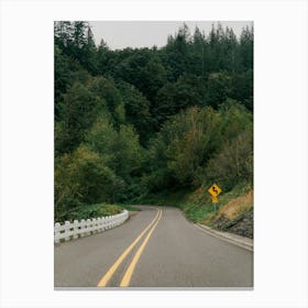 Driving into the Forest Canvas Print