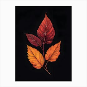 Autumn Leaves 11 Canvas Print