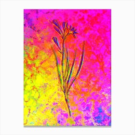 Amaryllis Montana Botanical in Acid Neon Pink Green and Blue n.0119 Canvas Print