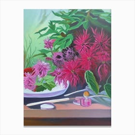 Bee Balm Spices And Herbs Oil Painting Canvas Print