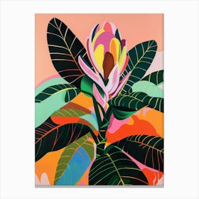 Magnolia 3 Canvas Print