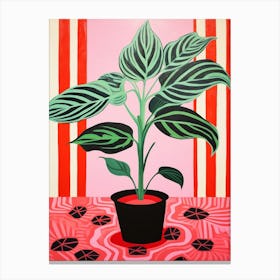 Pink And Red Plant Illustration Cast Iron Plant 3 Canvas Print