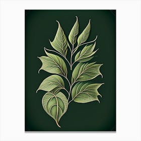 Willow Leaf Vintage Botanical Canvas Print