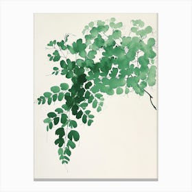 Green Ink Painting Of A Maidenhair Fern 3 Canvas Print