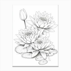 Line Art Inspired By Water Lilies 4 Canvas Print