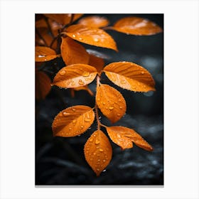 Autumn Leaves 2 Canvas Print