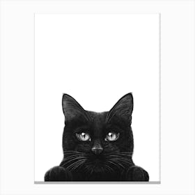 Peeping Black Cat With Paws Canvas Print