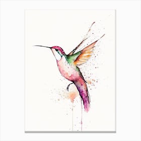 Calliope Hummingbird Minimalist Watercolour 3 Canvas Print