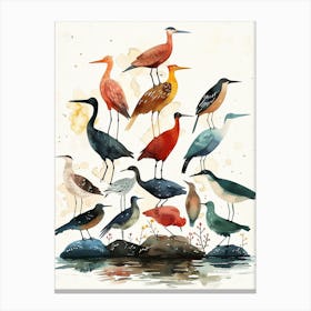 Birds On Rocks Canvas Print