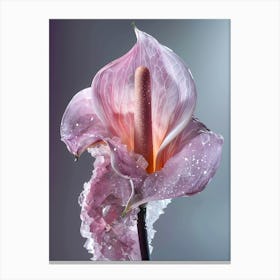 Calla Lily Canvas Print