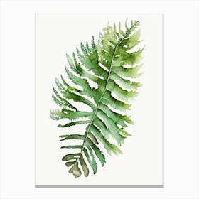 Lady Fern Watercolour Canvas Print