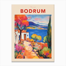 Data Set 46 Fauvist Travel Poster Canvas Print