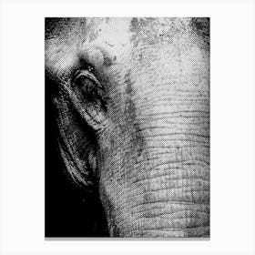 Elephant Line Art 1 Canvas Print