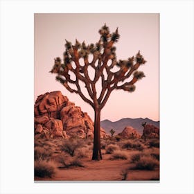  Photograph Of A Joshua Trees At Dusk In Desert 2 Canvas Print