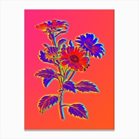 Neon Red Aster Flowers Botanical in Hot Pink and Electric Blue Canvas Print