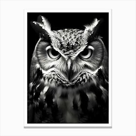 Owl Portrait Stampe su tela