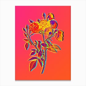 Neon Ternaux Rose Bloom Botanical in Hot Pink and Electric Blue n.0361 Canvas Print