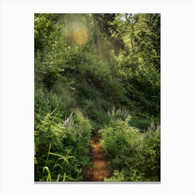 Sunny Trails Canvas Print