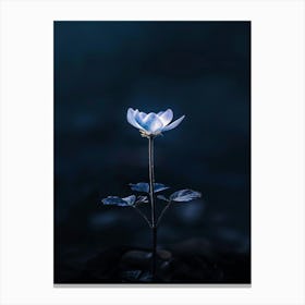 Flower In The Dark 75 Canvas Print