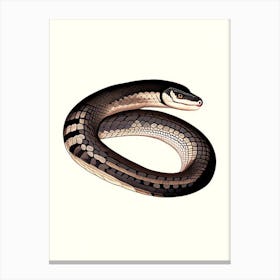 Black Necked Spitting Cobra Snake 1 Vintage Canvas Print