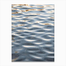 Water Ripples 2 Canvas Print
