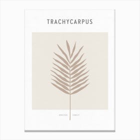 Boho Leaves 1 Trachycarpus Canvas Print