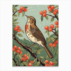 Vintage Bird Linocut Hermit Thrush 1 Canvas Print