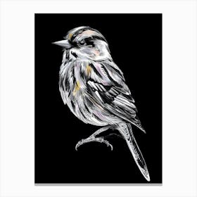 Bird On A Black Background Canvas Print