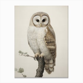 Antique Barn Owl Sketch Canvas Print