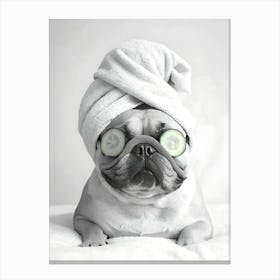 Pug Dog With Towel Canvas Print