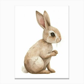 Mini Rex Rabbit Kids Illustration 3 Canvas Print