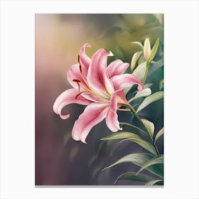 Pink Lily 2 Canvas Print