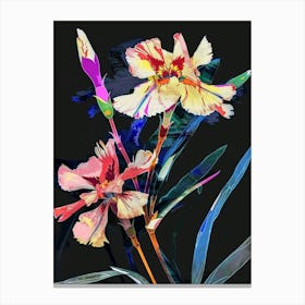 Neon Flowers On Black Carnation Dianthus 3 Canvas Print