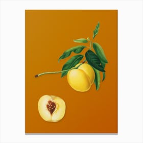 Vintage Yellow Apricot Botanical on Sunset Orange n.0493 Canvas Print