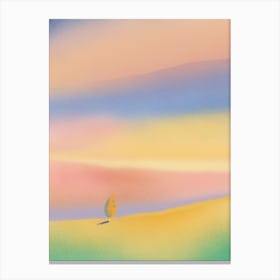 Colors in the wind Canvas Print