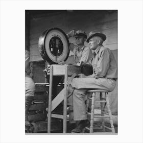 Weigher At Poultry Cooperative, Brownwood, Texas By Russell Lee Canvas Print