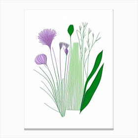 Chives Spices And Herbs Minimal Line Drawing 2 Canvas Print