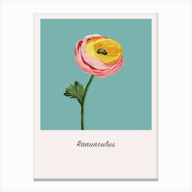 Ranunculus 2 Square Flower Illustration Poster Canvas Print