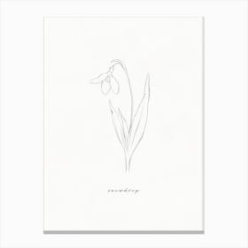 Snowdrop Line Drawing Canvas Print